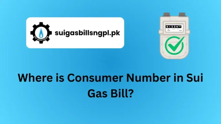 Where is Consumer Number in Sui Gas Bill?